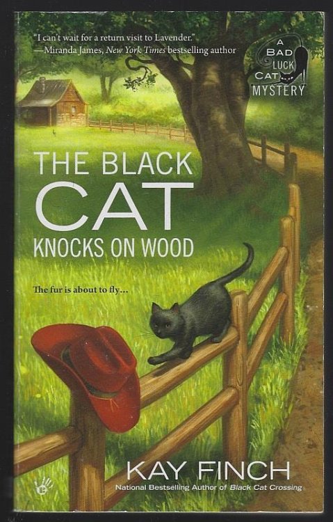 BLACK CAT KNOCKS ON WOOD