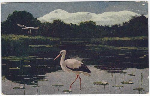 ARTIST POSTCARD STORKS IN MOUNTAIN LILY POND