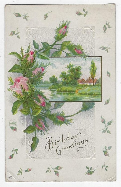 BIRTHDAY GREETINGS POSTCARD WITH LANDSCAPE AND PINK ROSES