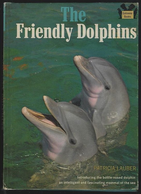 FRIENDLY DOLPHINS