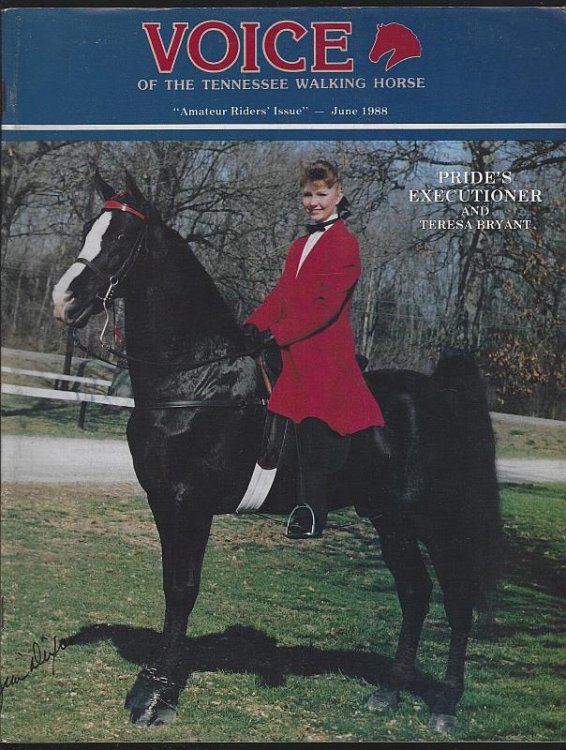 VOICE OF THE TENNESSEE WALKING HORSE MAGAZINE JUNE 1988 Special Amateur Issue