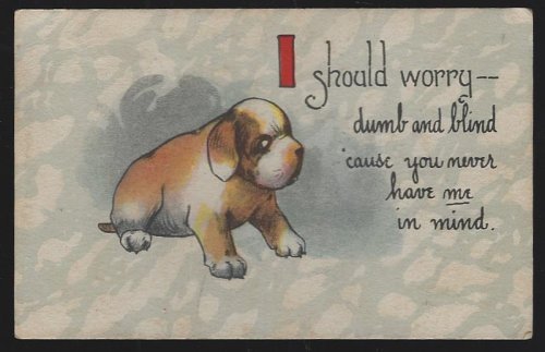 POSTCARD OF DOG I SHOULD WORRY
