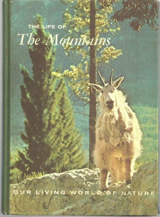LIFE OF THE MOUNTAINS
