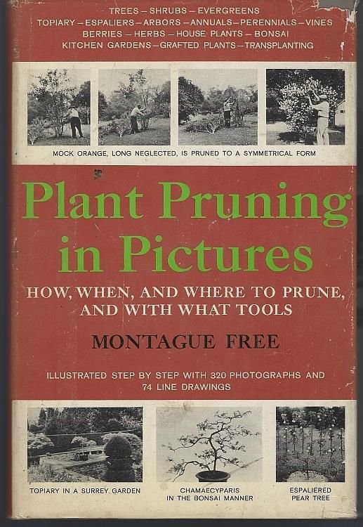PLANT PRUNING IN PICTURES How, When, and Where to Prune, and with What Tools