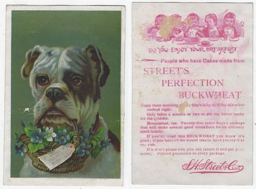 VICTORIAN TRADE CARD FOR STREET'S PERFECTION BUCKWHEAT WITH DOG HOLDING BASKET OF FLOWERS