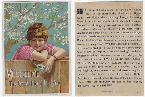 VICTORIAN TRADE CARD FOR VEGETINE WITH LOVELY LADY LEANING ON FENCE