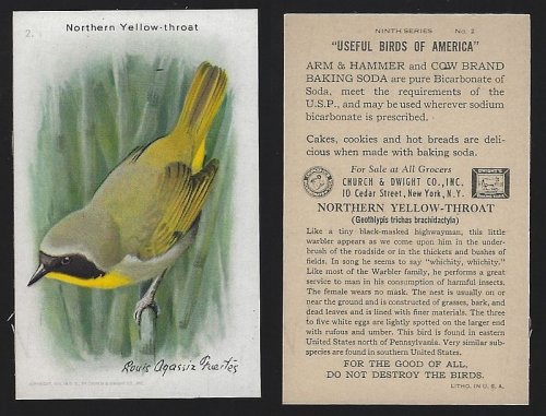 VICTORIAN TRADE CARD FOR ARM AND HAMMER BAKING SODA, USEFUL BIRDS OF AMERICA SERIES, NORTHERN YELLOW THROAT