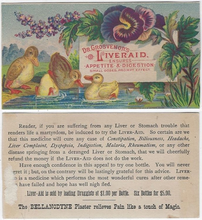 VICTORIAN TRADE CARD FOR DR. GROSVENOR'S LIVERAID WITH DUCKS IN POND