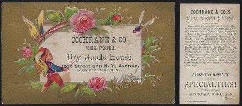 VICTORIAN TRADE CARD FOR COCHRANCE DRY GOODS HOUSE WITH BOY BATTLING A BUG AND FLOWERS