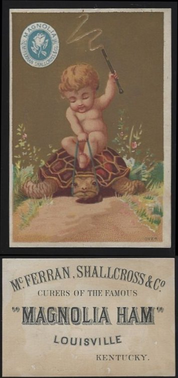 VICTORIAN TRADE CARD FOR MAGNOLIA HAM WITH BOY RIDING TORTOISE