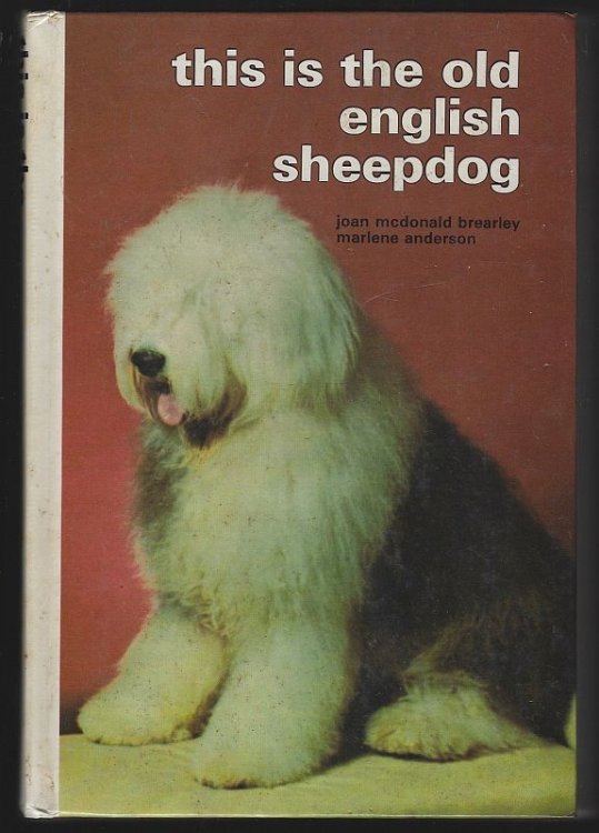 THIS IS THE OLD ENGLISH SHEEPDOG