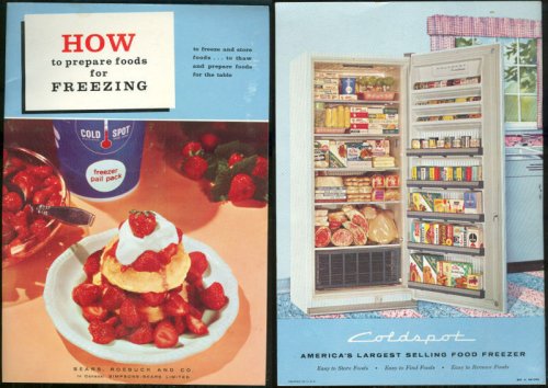 HOW TO PREPARE FOODS FOR FREEZING