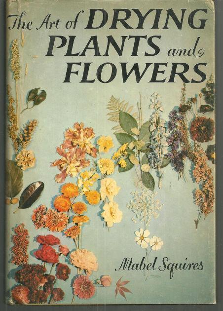 ART OF DRYING PLANTS AND FLOWERS