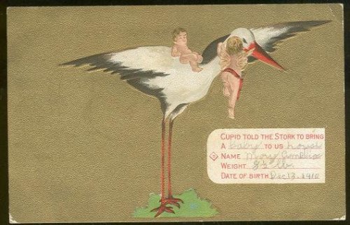 CUPID TOLD THE STORK TO BRING A BABY