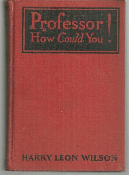 PROFESSOR HOW COULD YOU A Novel