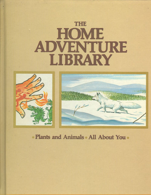 PLANTS AND ANIMALS AND ALL ABOUT YOU