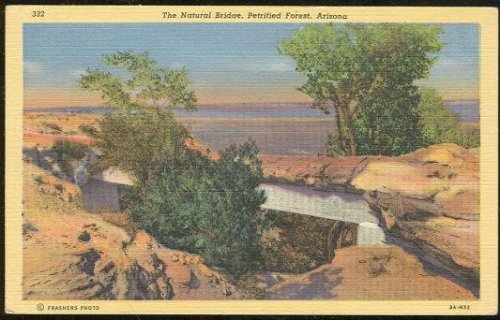 NATURAL BRIDGE PETRIFIED FOREST, ARIZONA