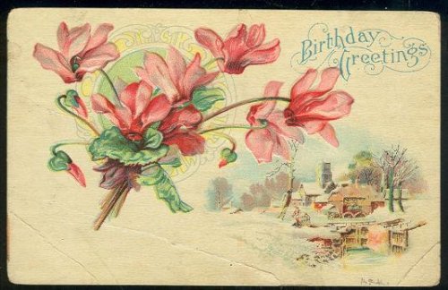 BIRTHDAY GREETINGS POSTCARD WITH FLOWERS AND SNOW