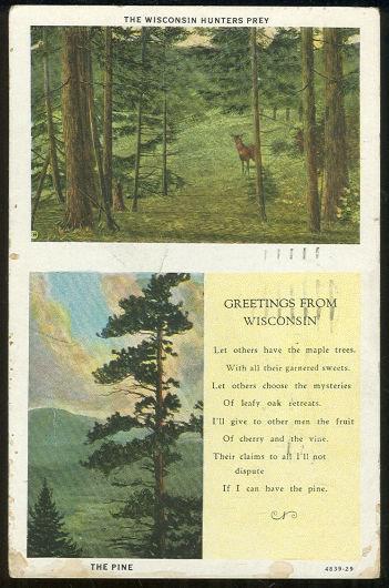 WISCONSIN HUNTER'S PARTY AND THE PINE