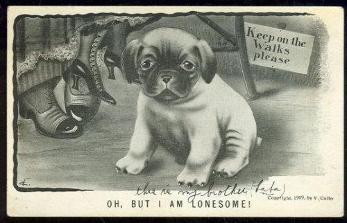 V. COLBY POSTCARD OF A LONESOME DOG