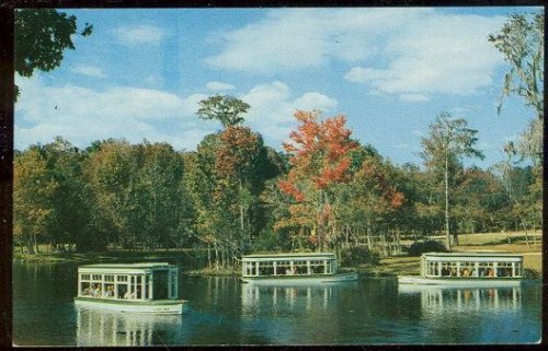 DOWN RIVER SCENE AT FLORIDA'S SILVER SPRINGS