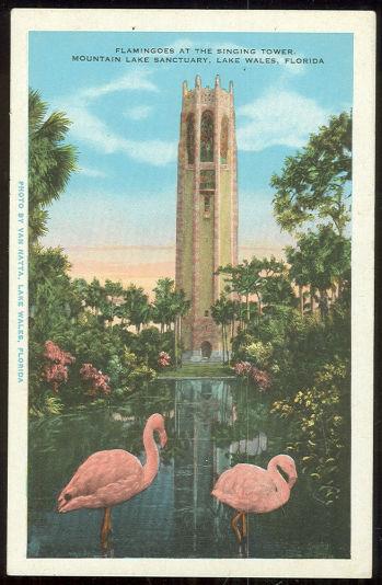 FLAMINGOES AT THE SINGING TOWER, LAKE WALES, FLORIDA