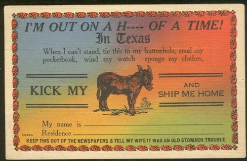 COMIC POSTCARD HAVING A H----OF TIME IN TEXAS