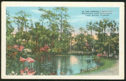 SERENELY BEAUTIFUL MOUNTAIN LAKE SANCTUARY LAKE WALES, FLORIDA
