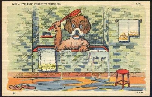 COMIC POSTCARD OF DOG TAKING BATH CLEAN FORGOT TO WRITE
