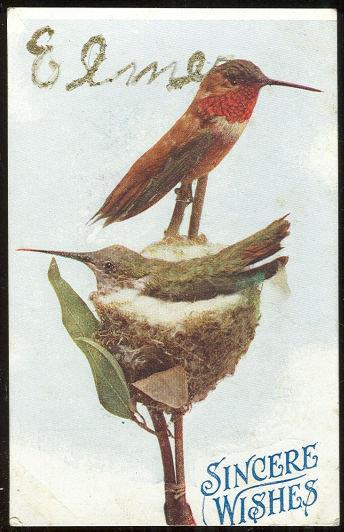 BIRDS ON NEST OFFERING SINCERE WISHES