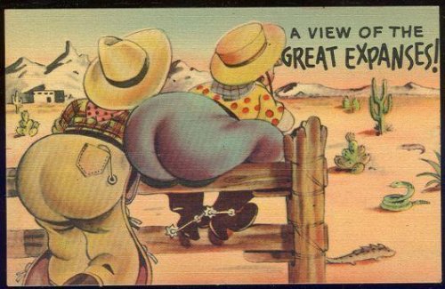 COMIC POSTCARD OF VIEW OF THE GREAT EXPANSES OUT WEST
