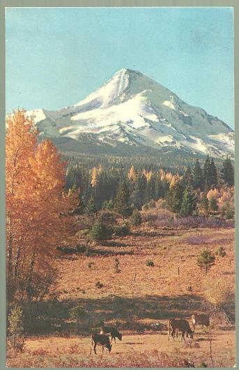 MT. HOOD, OREGON
