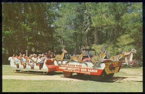 SLEIGHRIDING IN FLORIDA'S SILVER SPRINGS, TOMMY BARTLETT'S DEER PARK