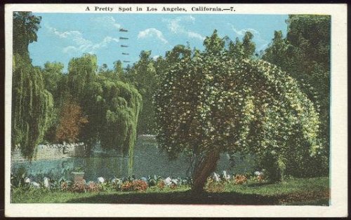 PRETTY SPOT IN LOS ANGELES, CALIFORNIA