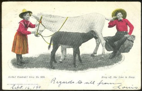 COMIC POSTCARD TWO KIDS TALKING ON BUSY HORSE