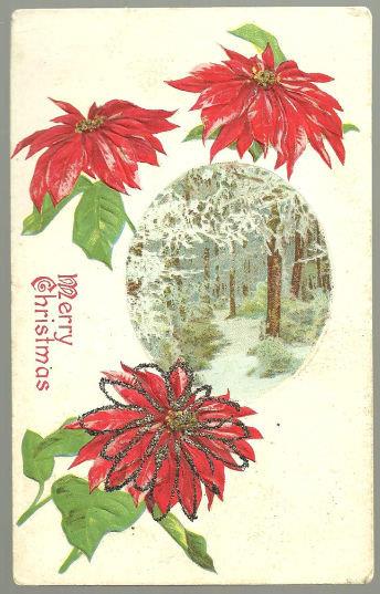 MERRY CHRISTMAS POSTCARD WITH POINSETTIAS AND TREES