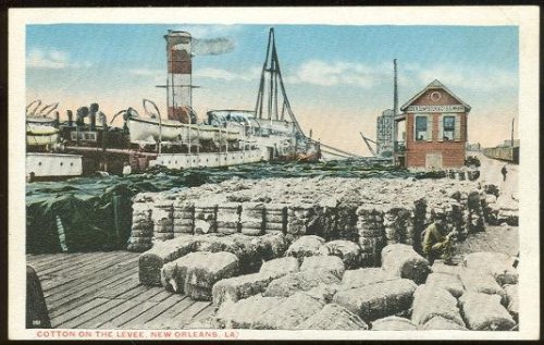 COTTON ON LEVEE, NEW ORLEANS, LOUISIANA