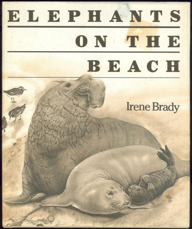 ELEPHANTS ON THE BEACH