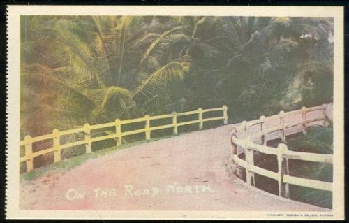 ON THE ROAD NORTH, TRINIDAD, CARIBBEAN