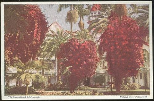 PATIO, HOTEL DEL CORONADO, CORONADO BEACH, CALIFORNIA