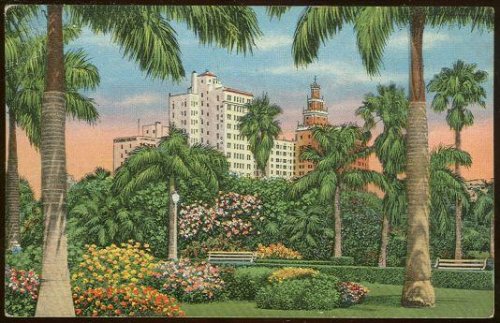 HOTEL ROW AS SEEN FROM BAYFRONT PARK, MIAMI, FLORIDA