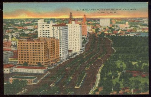 SKYSCRAPER HOTELS ON BISCAYNE BOULEVARD IN MIAMI, FLORIDA