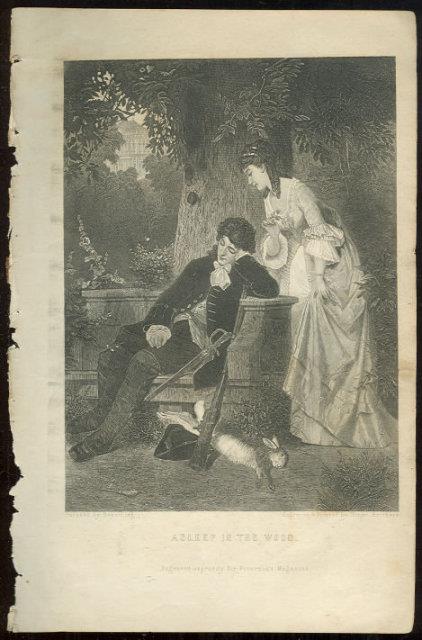ASLEEP IN THE WOOD FROM 1876 PETERSON'S MAGAZINE