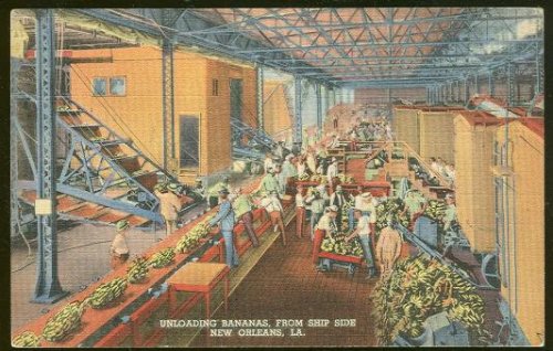 UNLOADING BANANAS, NEW ORLEANS, LOUISIANA
