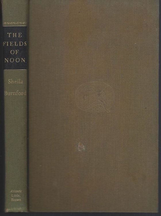 FIELDS OF NOON