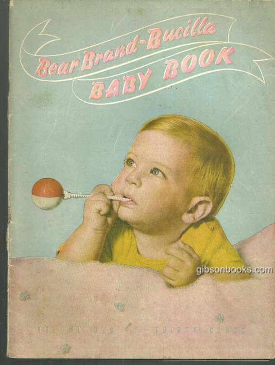 BEAR BRAND BUCILLA BABY BOOK