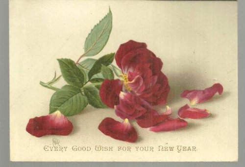 VICTORIAN GOOD WISH FOR NEW YEAR CARD WITH RED ROSE