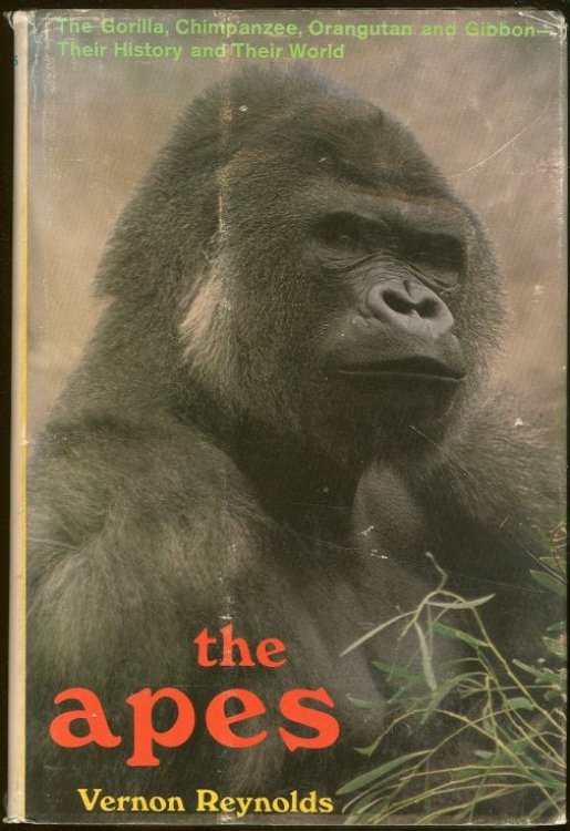 APES The Gorilla, Chimpanzee, Orangutan, and Gibbon- Their History and Their World