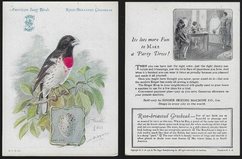 VICTORIAN TRADE CARD FOR SINGER SEWING MACHINE AMERICAN SONG BIRDS SERIES ROSE BREASTED GROSBEAK
