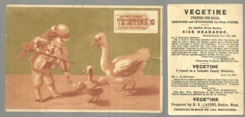 VICTORIAN TRADE CARD FOR VEGETINE WITH BOY PLAYING FIDDLE FOR DUCKS
